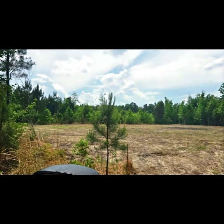 2nd image of 478 Kitfield Rd