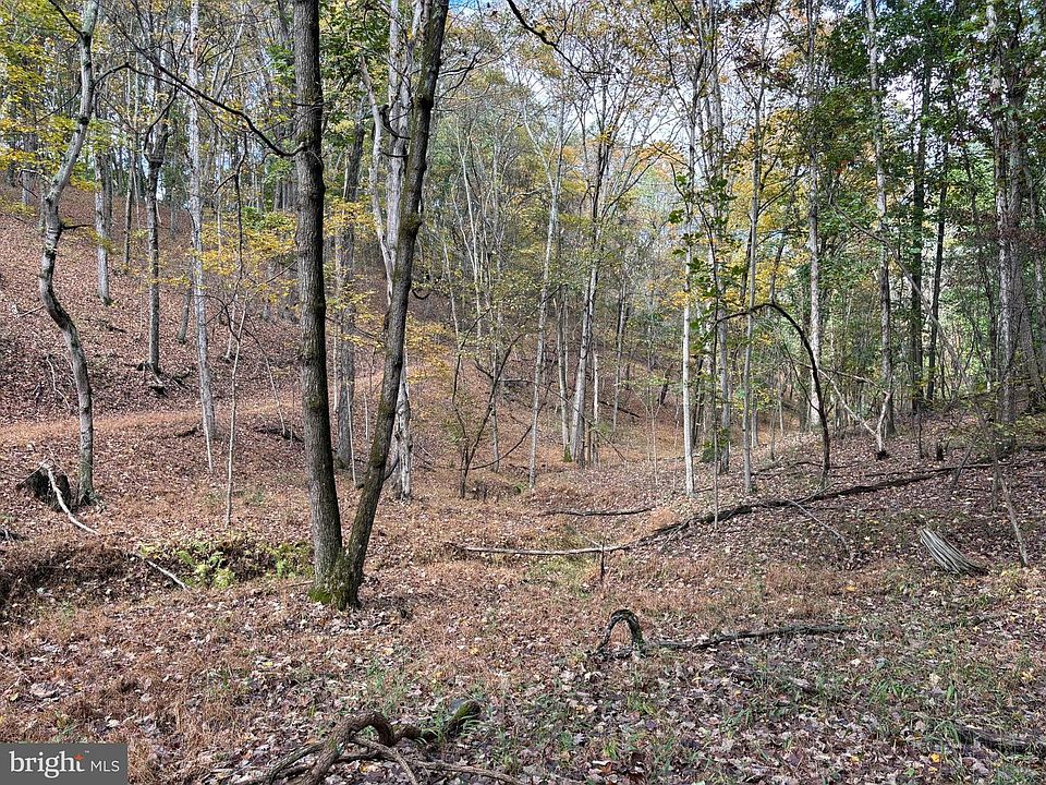 1st image of 49.76 Acres Off Dans Run Rd