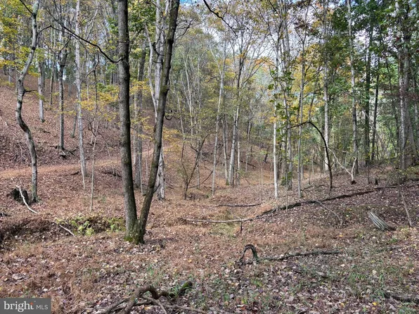 49.76 Acres Off Dans Run Rd, Fort Ashby, WV 26719