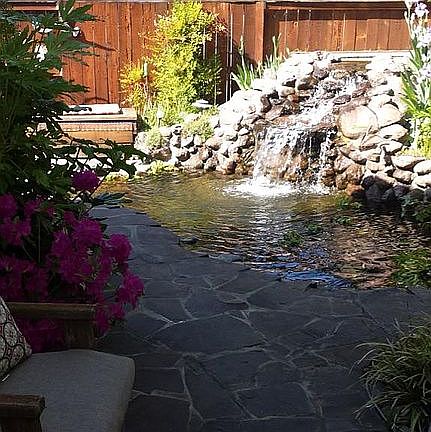 4th image of 2241 Starling Ln