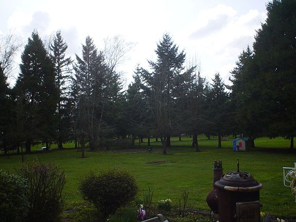 wonderful garden area
