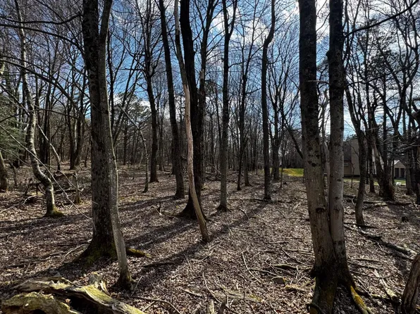 0 Stony Mountain Rd, Albrightsville, PA 18210