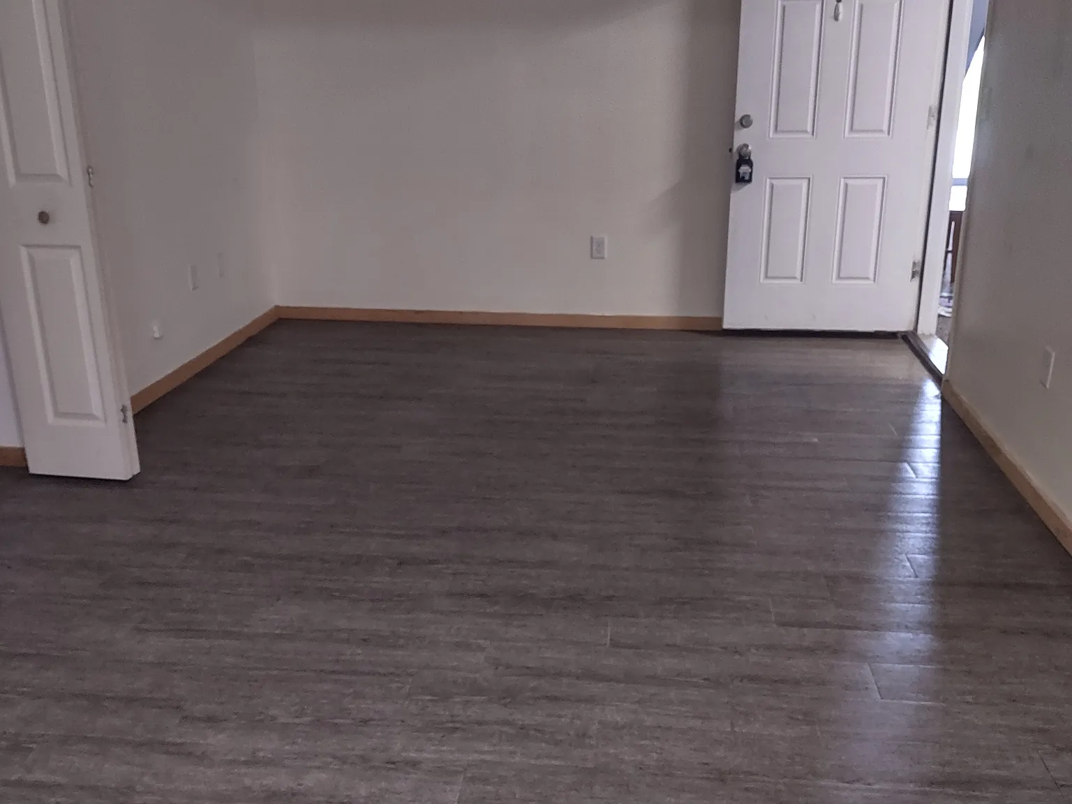 1 bed, $800 — Photo 4