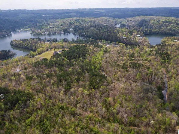 0 W Lakeshore Dr #1, Oneonta, AL 35121