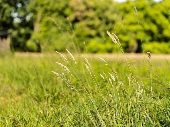 Plummers Mill Area, Wallingford, KY 41093