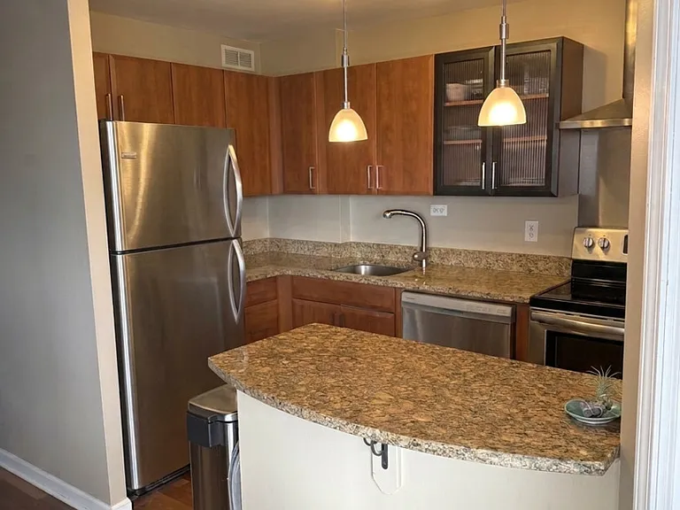 1355 N Sandburg Ter #1801D — Photo 2