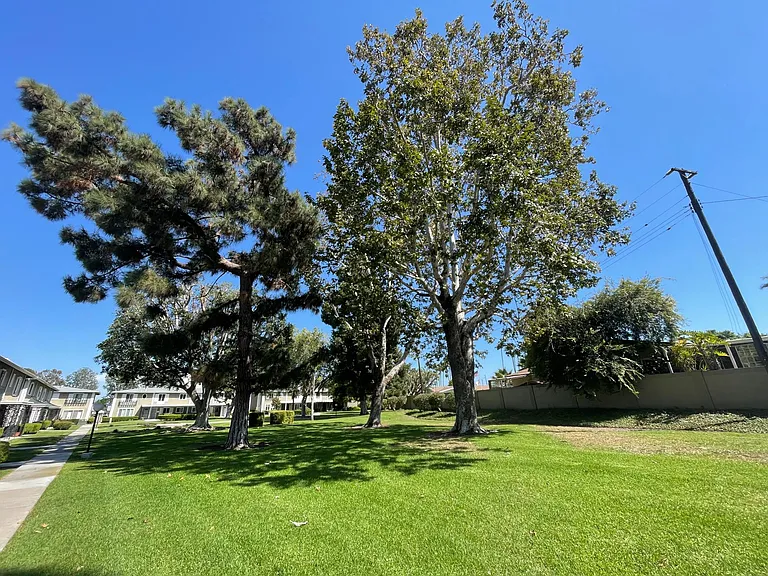 1451 Deauville Pl — Photo 15