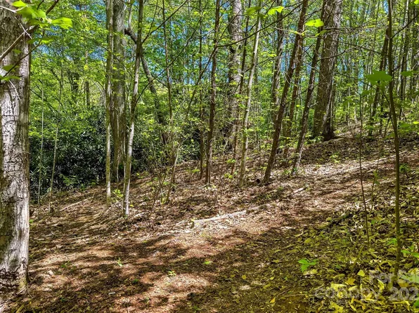 Hunting Lodge Dr #9, Black Mountain, NC 28711