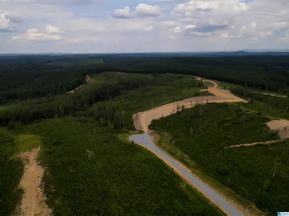 162 Heritage Ln #12, Columbiana, AL 35051