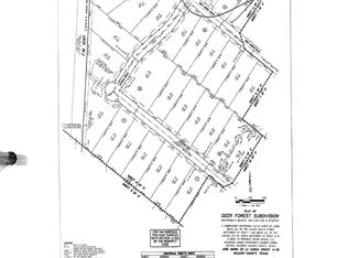 206 Iron Horse Rd, Willis, TX 77378