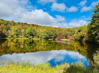 369 Ford Hill Rd, Hunter, NY 12442