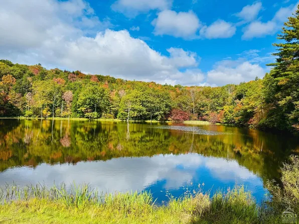 369 Ford Hill Rd., Hunter, NY 12442