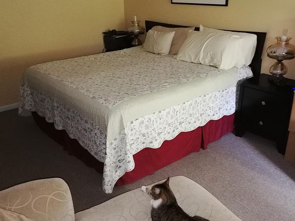 5th image of 22 N Graham Ave APT 3