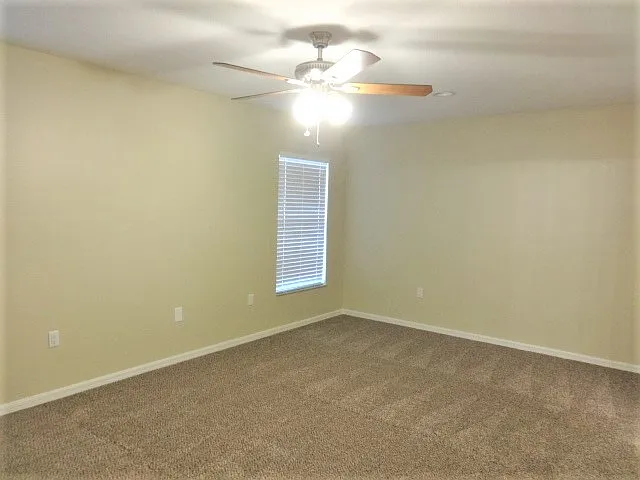 13514 Red Ear Ct — Photo 10