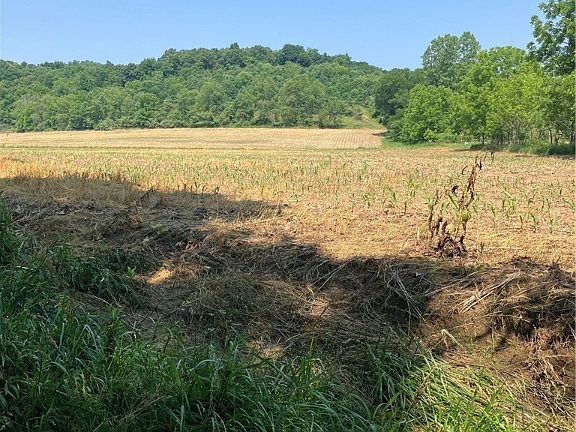 5th image of 14711 County Road 436