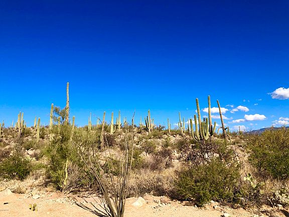 2nd image of 1813 Tortolita Mountain Cir #499
