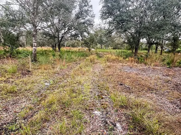 4683 SE RYE AVENUE, ARCADIA, FL 34266
