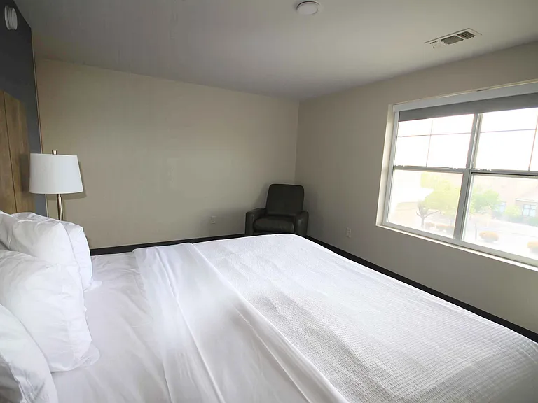 1 Bedroom Suite - 1 King Bed