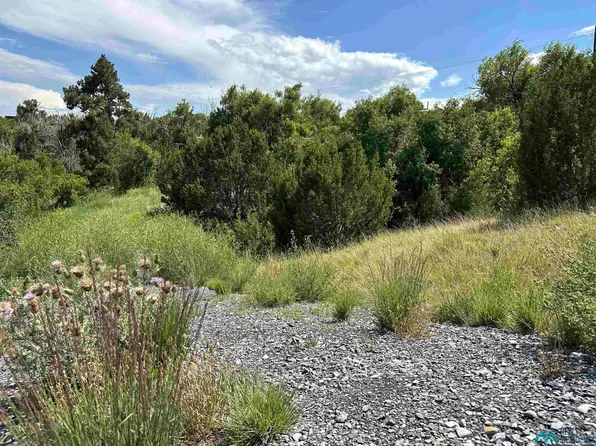 Camp Luna Area Rd, Las Vegas, NM 87701