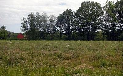 2nd image of 12835 Flynn Rd