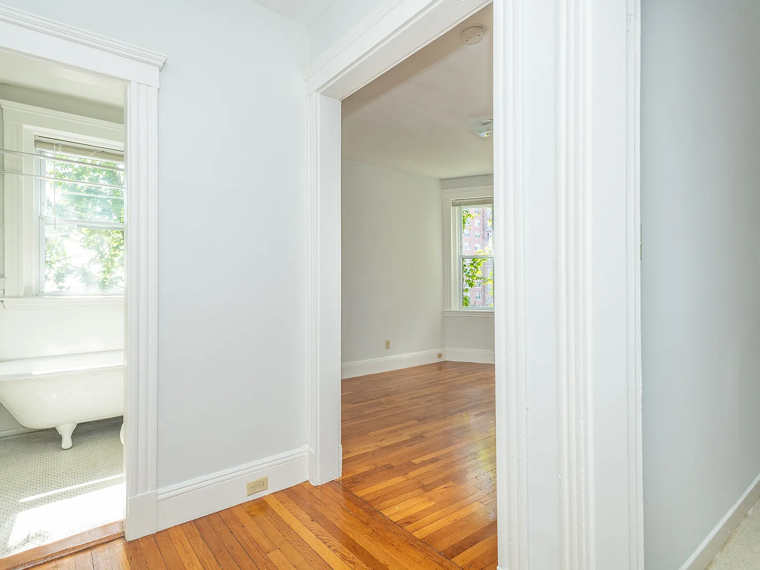 Studio, 333 sqft, $2,550 — Photo 4
