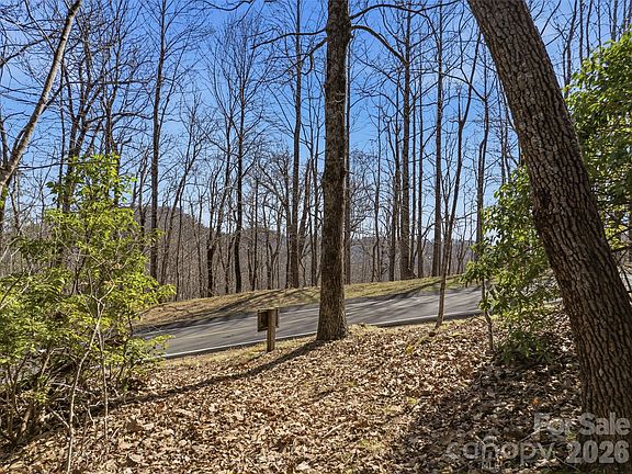 5th image of Panther Mountain Rd #18