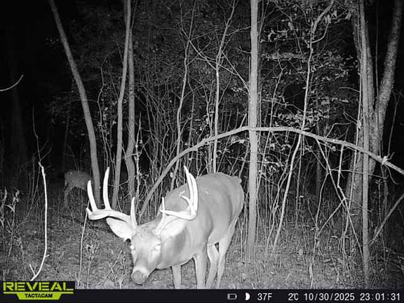 3rd image of Stark Rd