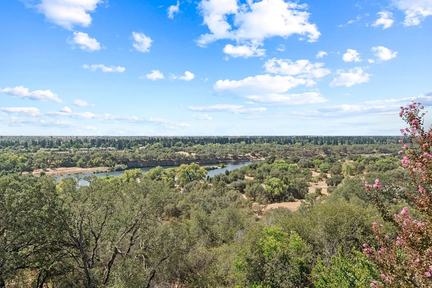 8752 Bluff Ln photo 1