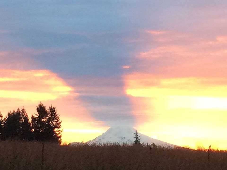 8707 SE 347th Ave, Boring, OR 97009 Zillow