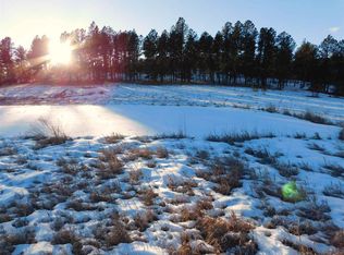 11826 Diamond Rd, Custer, SD 57730