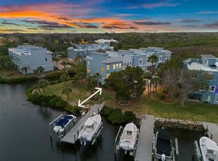 1118 Starfish Ln, Tarpon Springs, FL 34689