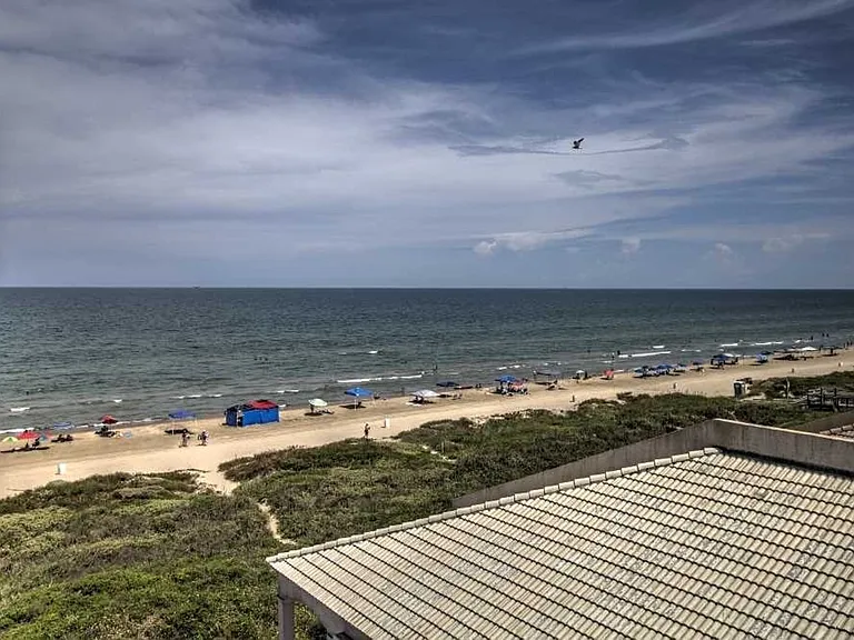 Window View
