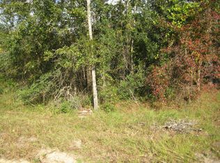 40 Bluebell Ave, Middleburg, FL 32068