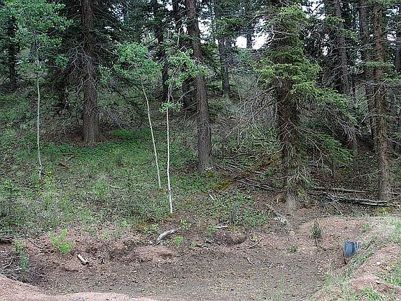 4th image of 64 Portland Dr
