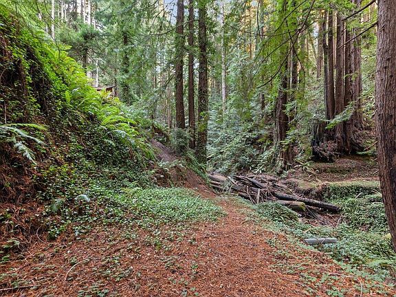 2nd image of 3946 Tunitas Creek Rd