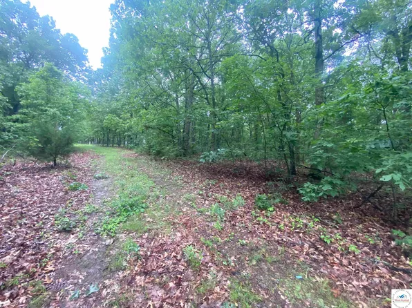 Xx Ne Private Rd #160, Osceola, MO 64776