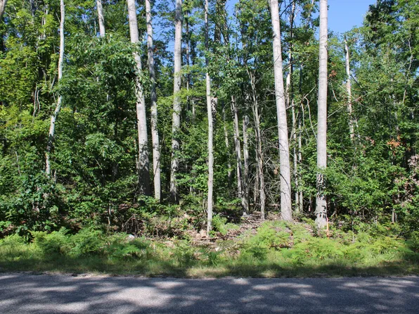 11228 Fascination Dr, Frederic, MI 49733