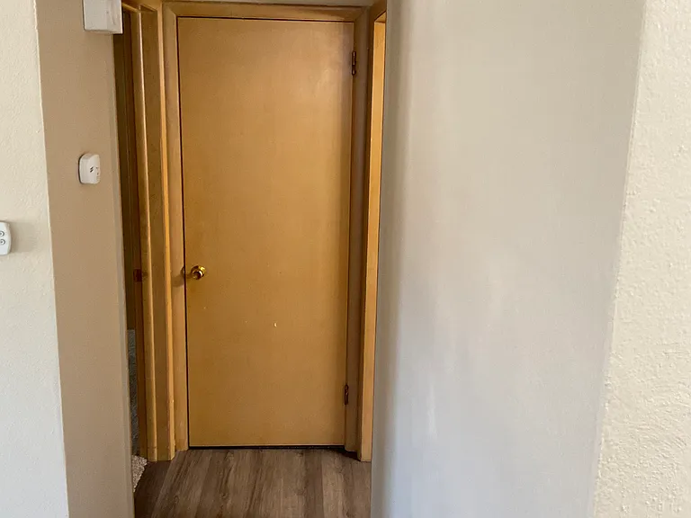 Hallway coat closet