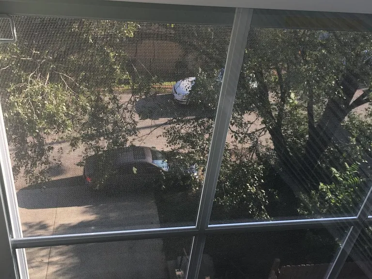 view of backyard from bedroom