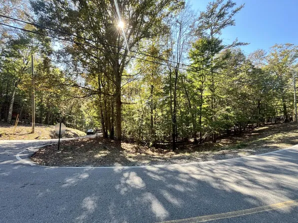 LOT 2032 Newport Dr, Ellijay, GA 30540