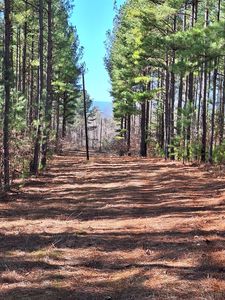 0 Wilderness Creek Rd Lot B, Monroe, VA, 24574