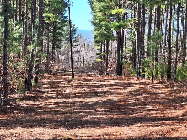 0 Wilderness Creek Rd Lot B, Monroe, VA 24574