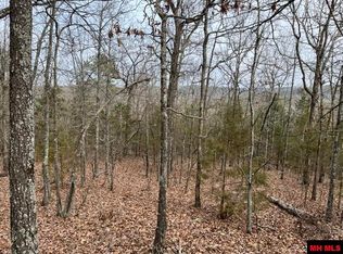 002-11156-706 Cheyenne Ct, Calico Rock, AR 72519