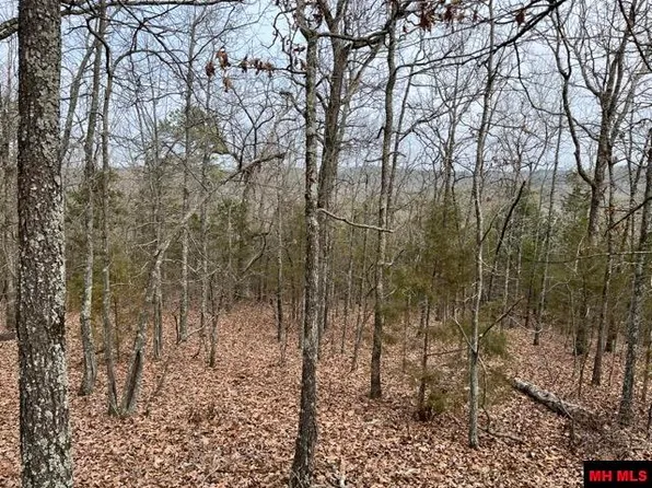 002-11156-706 Cheyenne Ct, Calico Rock, AR 72519
