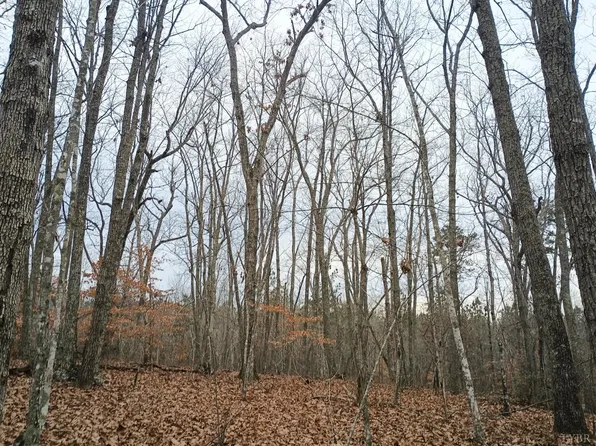 0 Axtell Rd, Howardsville, VA 24562