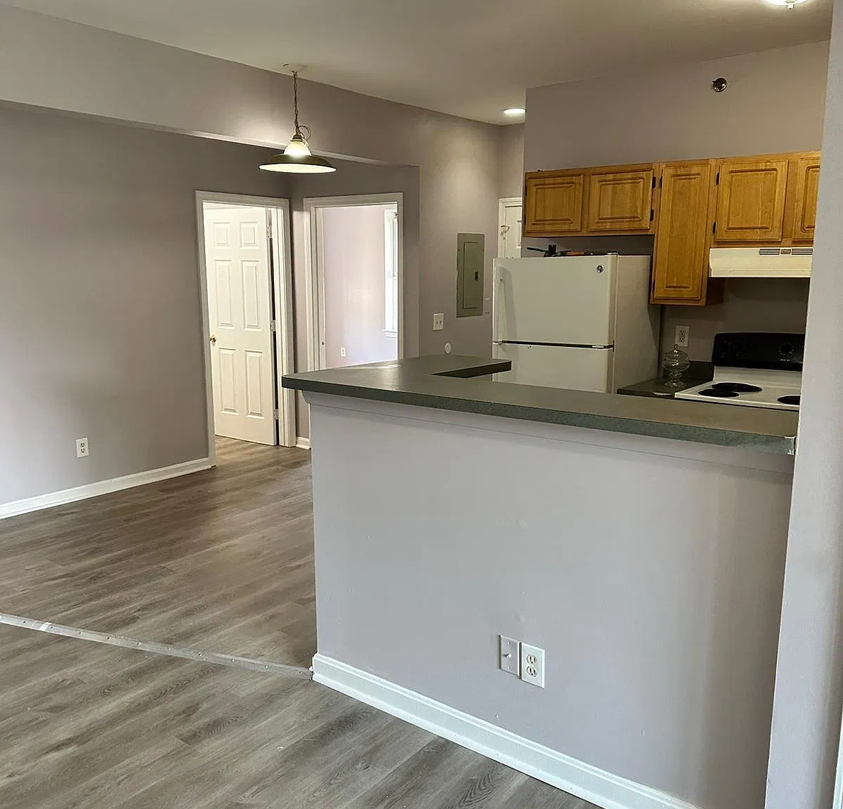 1 bed, 400 sqft, $1,250 — Photo 2
