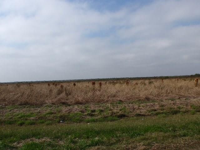 1st image of 36 County Road 291