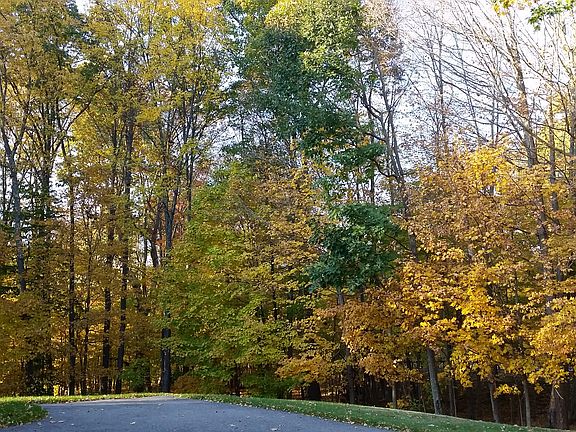 View from driveway in fall