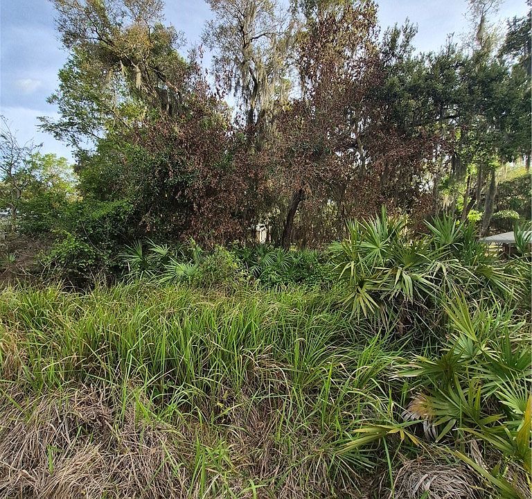 1st image of 8021 Istokpoga St