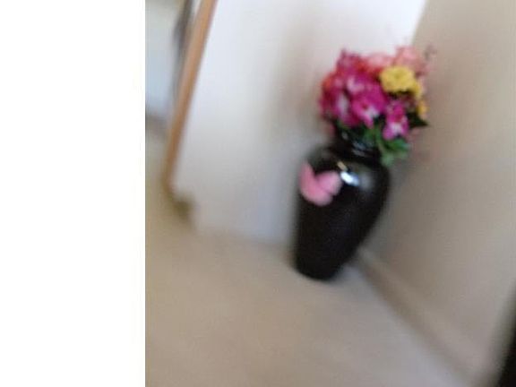 3rd image of 9437 N Belfort Cir